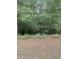 Secluded swampy area behind the property at 708 Grices Ferry Ct., Mullins, SC 29574