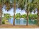 Serene pond with fountain and palm trees at 14290 Ocean Hwy. # 202, Pawleys Island, SC 29585