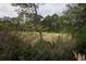 Peaceful backyard view of a golf course and mature trees at 1065 Wigeon Dr., Conway, SC 29526
