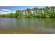 Tranquil pond view with lush, green tree line at 2226 Huntington Dr. # D, Surfside Beach, SC 29575