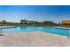 Relaxing community pool with plenty of lounge chairs at 190 Campania St., Myrtle Beach, SC 29579