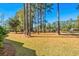 Landscaped backyard with tall pines and golf course view at 493 Shellbank Dr. # 2-B, Longs, SC 29568