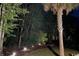Landscaped backyard with lush greenery, palm trees and lighting at 172 Collins Glen Dr., Murrells Inlet, SC 29576