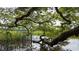 Serene waterfront view featuring a sprawling oak tree over calm water at 651 Wallace Dr., Little River, SC 29566