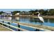 Great Egret perched on a pier overlooking the water at 567 Haven View Way, Murrells Inlet, SC 29576