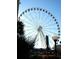 SkyWheel Myrtle Beach, a large Ferris wheel with passenger cars at 1200 N Ocean Blvd. # 307, Myrtle Beach, SC 29577