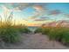 Sandy path through beach grass leading to the ocean at sunset at 210 Forest Dr., Longs, SC 29568