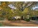 Landscaped yard with large tree and fallen leaves at 10301 N Kings Hwy. # 17-3, , SC 29572