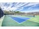 Pickleball courts at 268 Empyrean Circle, Myrtle Beach, SC 29588