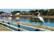 Scenic dock with waterfront views, egret, and nearby buildings at 547 Slaty Dr., Myrtle Beach, SC 29588