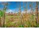 View of a serene wooded area with tall trees and greenery at 1286 River Oaks Dr. # 8-M, Myrtle Beach, SC 29579