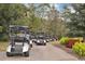 Golf carts parked along a landscaped path at 1514 Clubstone Dr., Conway, SC 29526