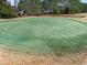 Picturesque golf course view with a pond in the background at 291 Frances Parker Rd., Georgetown, SC 29440