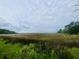 Scenic marsh views with potential for waterfront property at Tbd Mud Minnow Dr., Pawleys Island, SC 29585