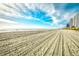 Wide sandy beach with ocean views at 2301 S Ocean Blvd. # Ph22, Myrtle Beach, SC 29577
