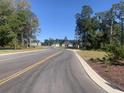 View 352 Palmetto Sand Loop Conway SC