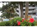 SeaMaster building entrance with tropical landscaping at 1310 N Waccamaw Dr. # 201, Murrells Inlet, SC 29576