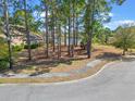 View 1033 Muscovy Pl. Conway SC