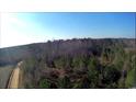 Aerial view of a wooded lot with a dirt road at 6248 Ellwood Rd., Galivants Ferry, SC 29544