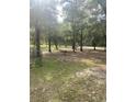 Spacious backyard with mature trees and a seating area at 708 Grices Ferry Ct., Mullins, SC 29574