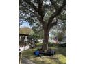 Large tree and American flag in the backyard of the property at 538 Calhoun Dr., Murrells Inlet, SC 29576