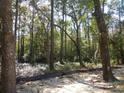 Wooded lot with a cleared area and privacy fence at 681 Hawthorn Dr., Pawleys Island, SC 29585