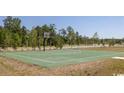 Community basketball court with surrounding trees at 1204 Newell Dr, Myrtle Beach, SC 29588