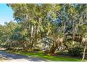 House nestled amongst mature trees with Spanish moss at 356 Rossdhu Ave., Pawleys Island, SC 29585