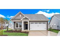 Gray craftsman style home with white garage door and landscaping at 3001 Deerberry Place, Longs, SC 29568
