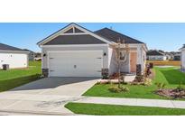 Single-story home with a two-car garage and landscaped front yard at 766 Cypress Preserve Circle, Longs, SC 29568