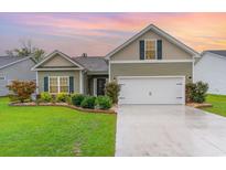 Charming craftsman style home with landscaped lawn at 342 Palm Terrace Loop, Conway, SC 29526