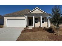 Attractive Craftsman style home with a two-car garage and well-manicured landscaping at 331 Cheerful Way, Little River, SC 29566