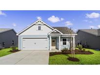 Charming one-story home with light blue siding and a two-car garage at 3042 Deerberry Place, Longs, SC 29568