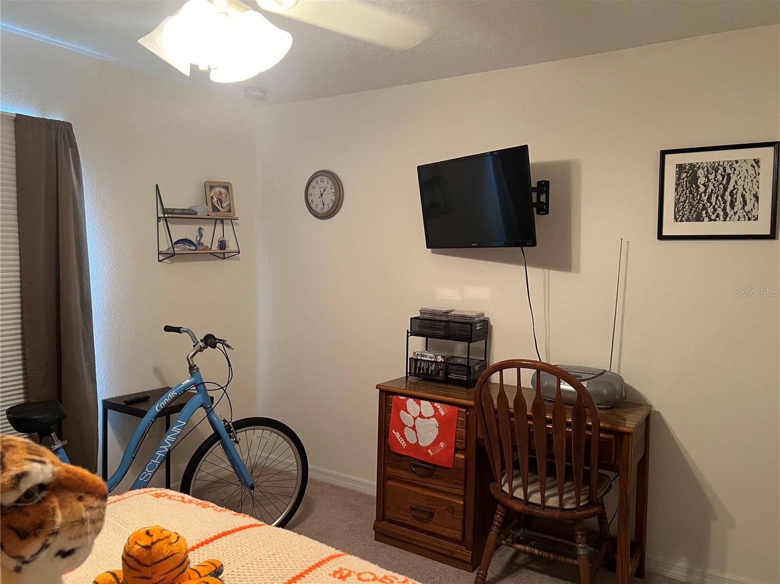 Photo #24
