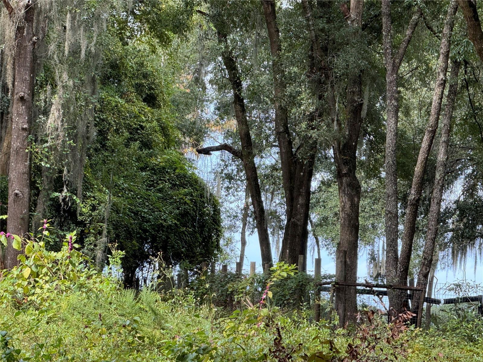 Photo #43