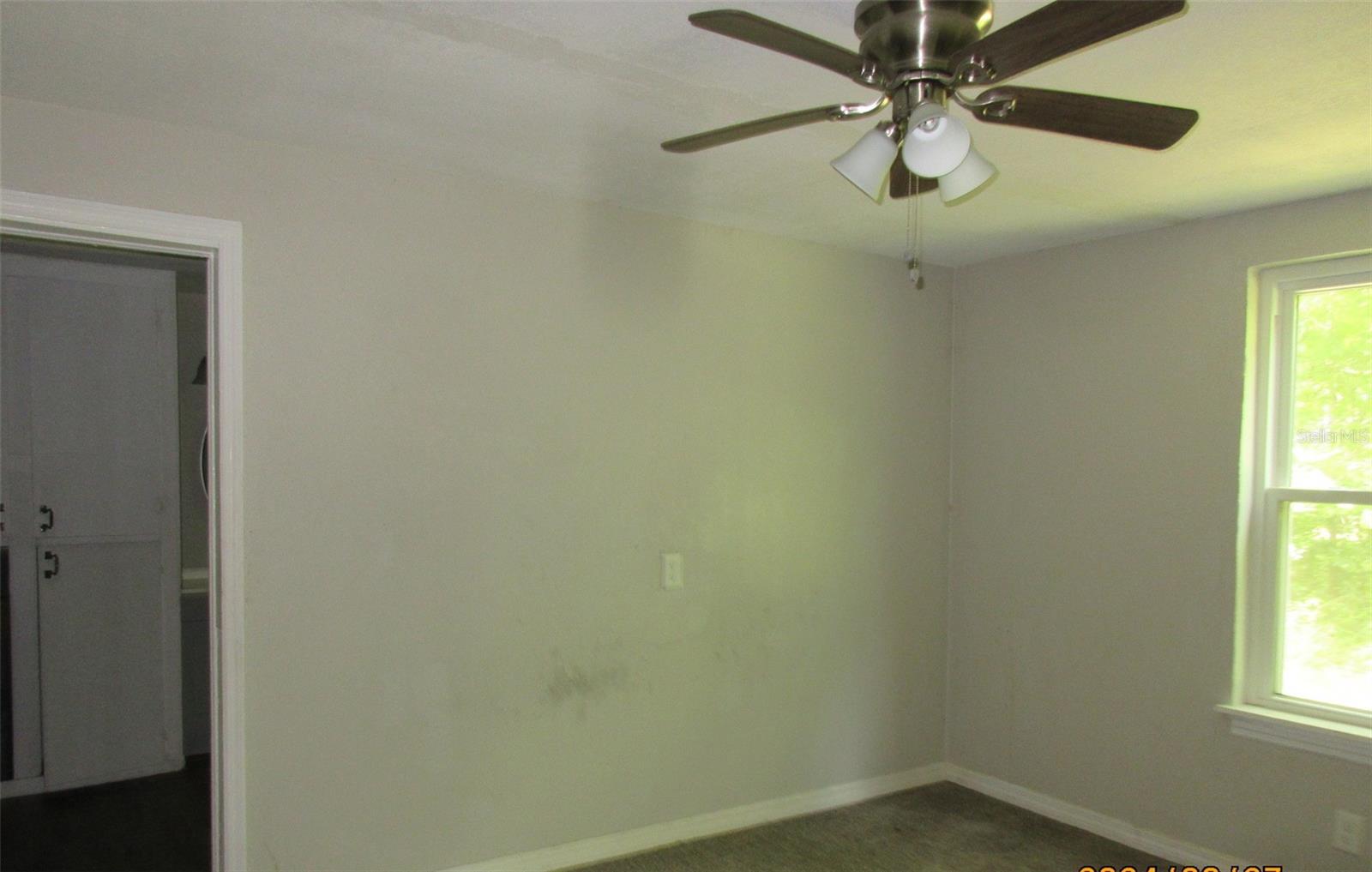 Photo #12