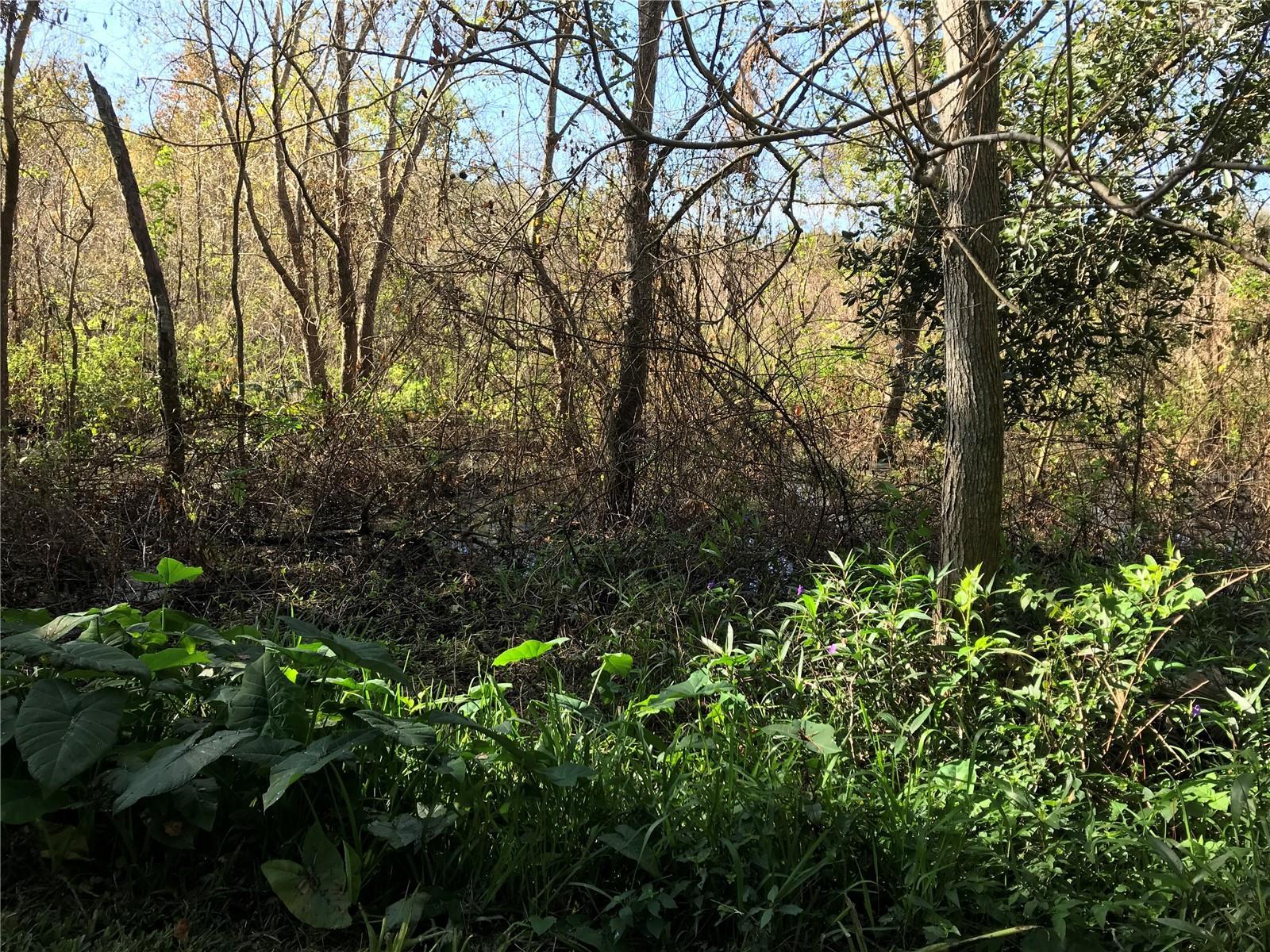 Photo #36