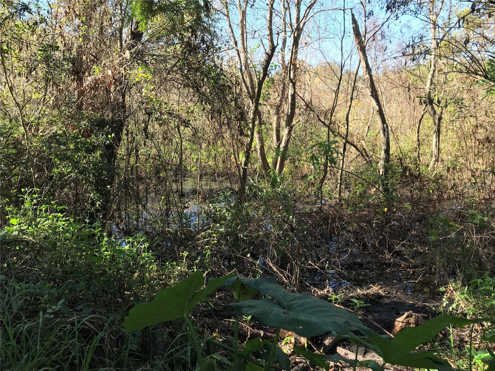 Photo #35