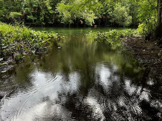 Photo #49