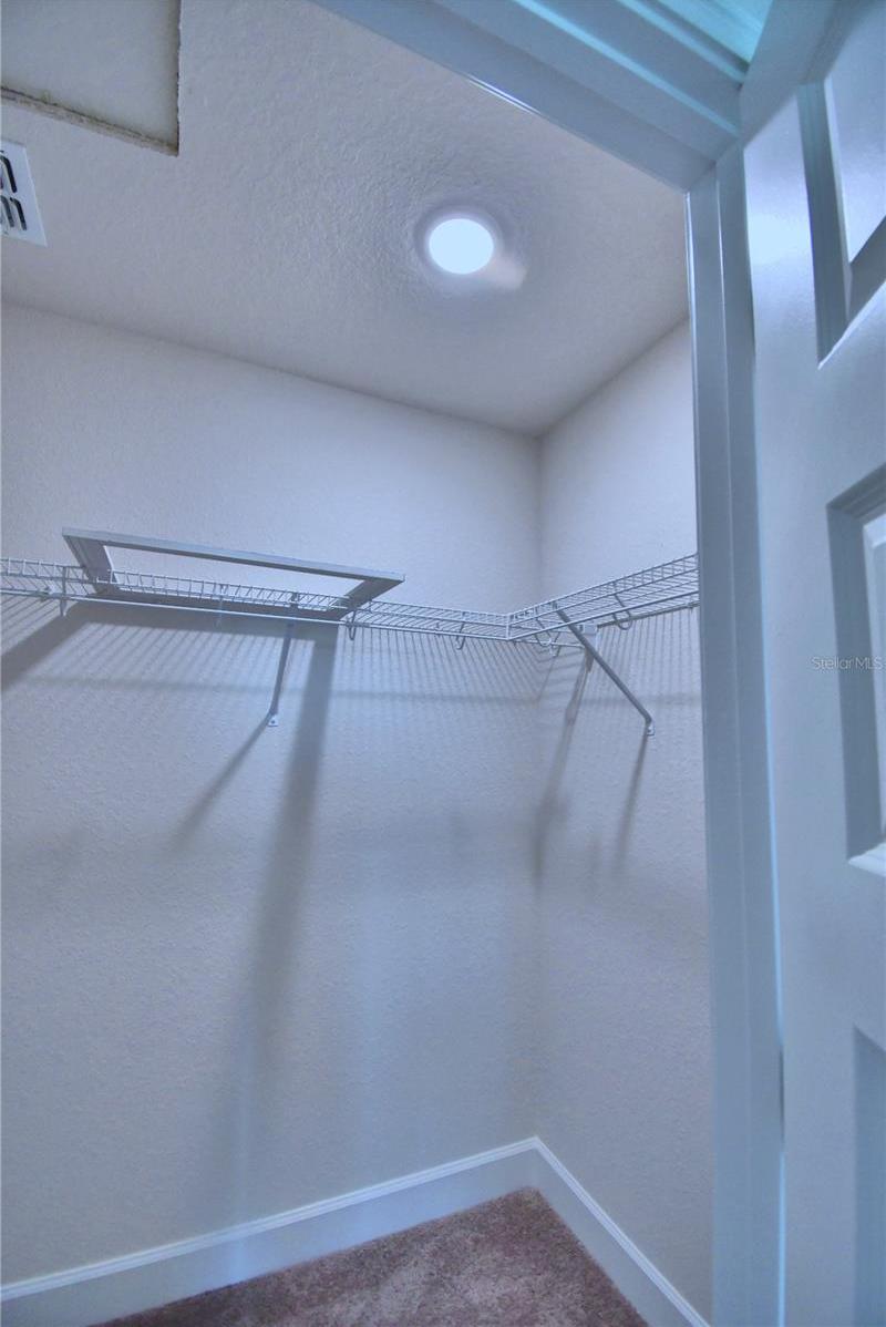 Photo #19