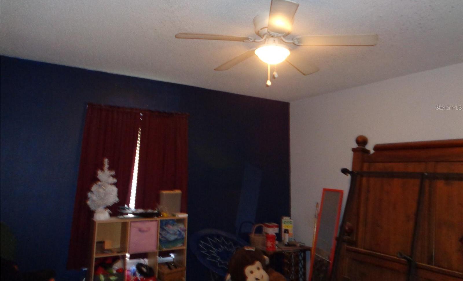 Photo #53