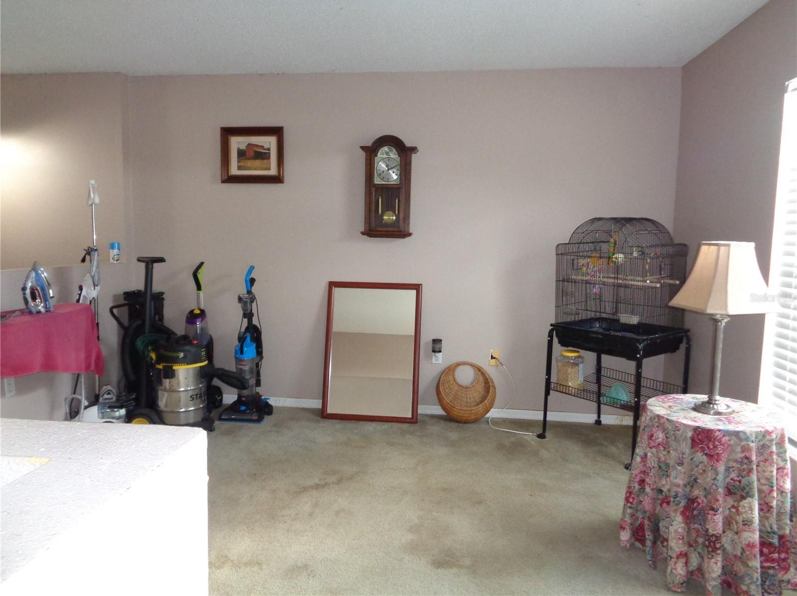 Photo #42