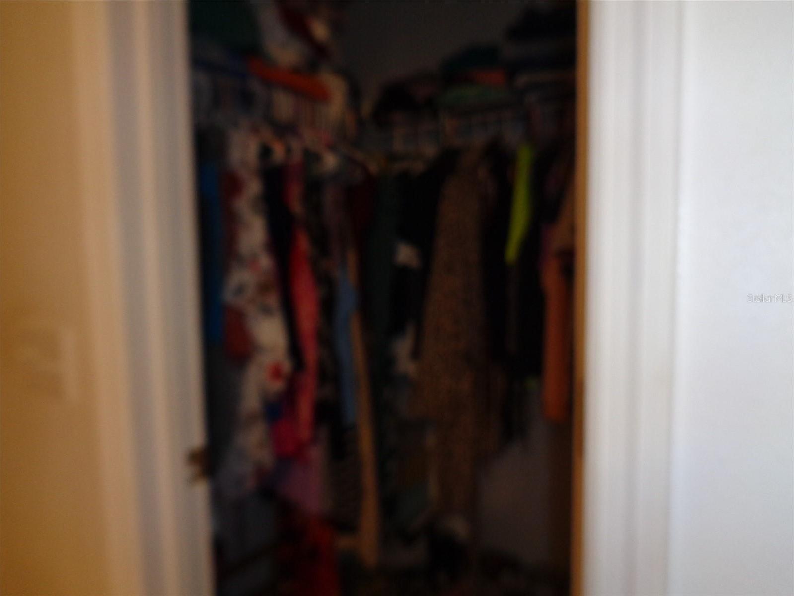 Photo #47