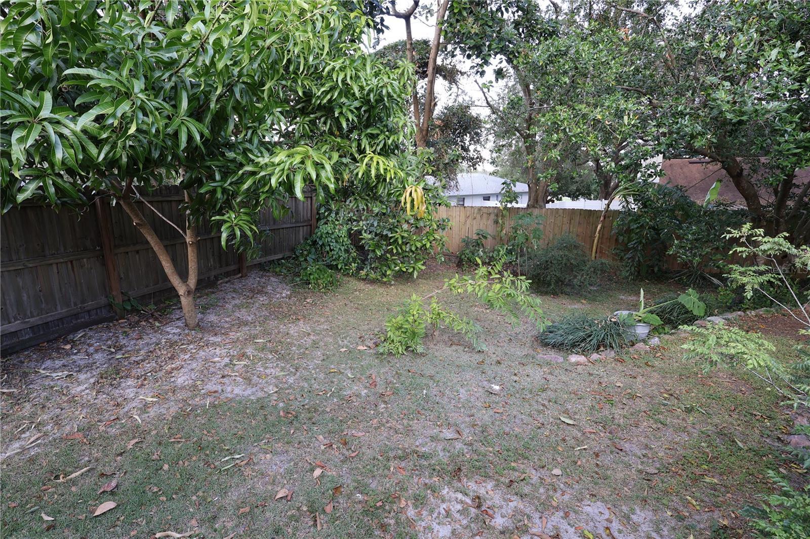 Photo #36