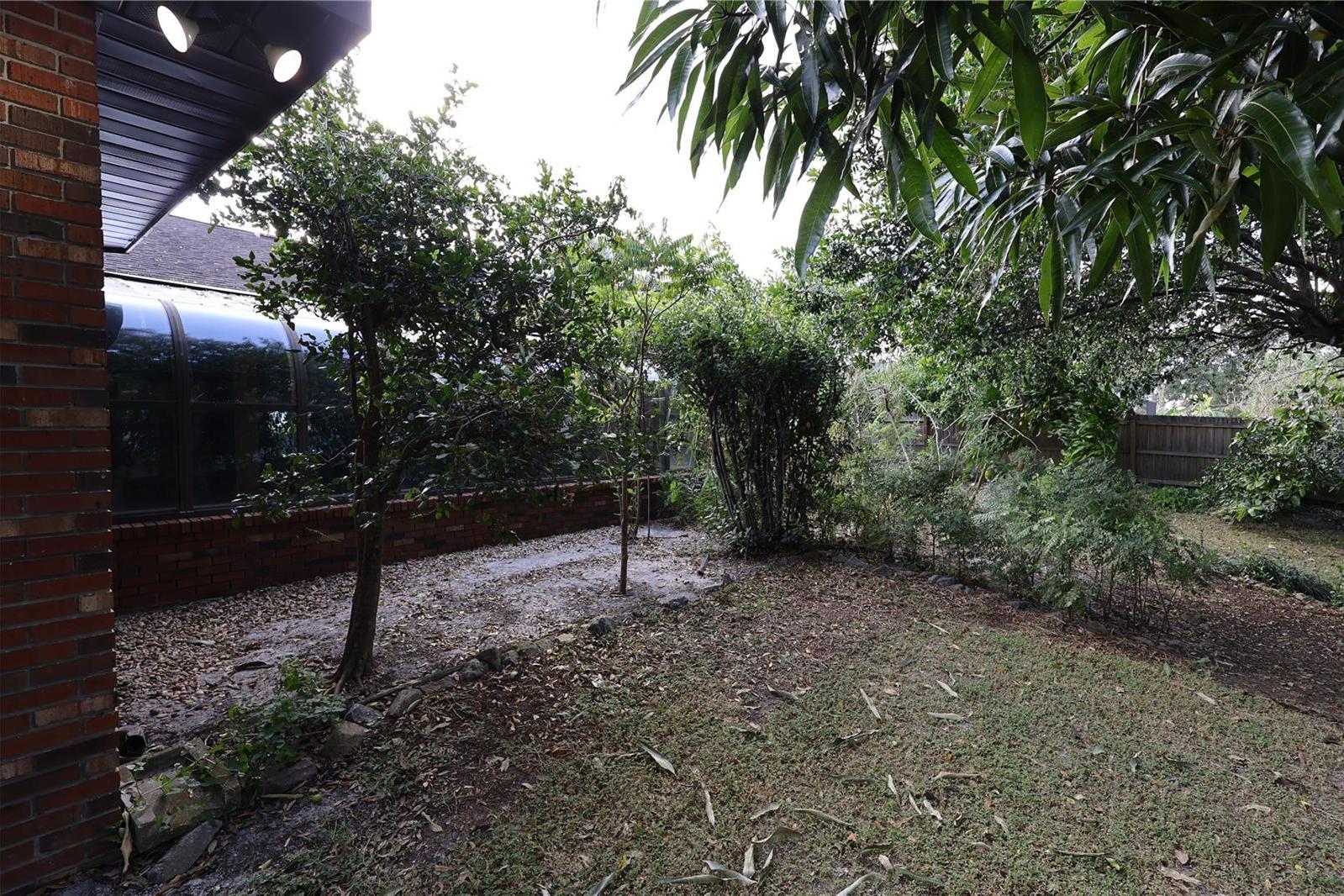 Photo #34