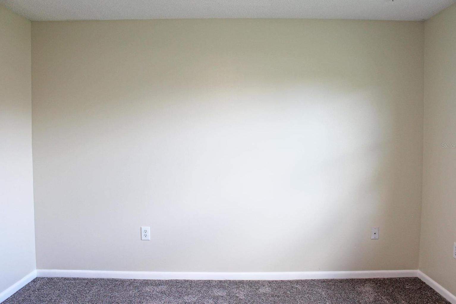 Photo #24