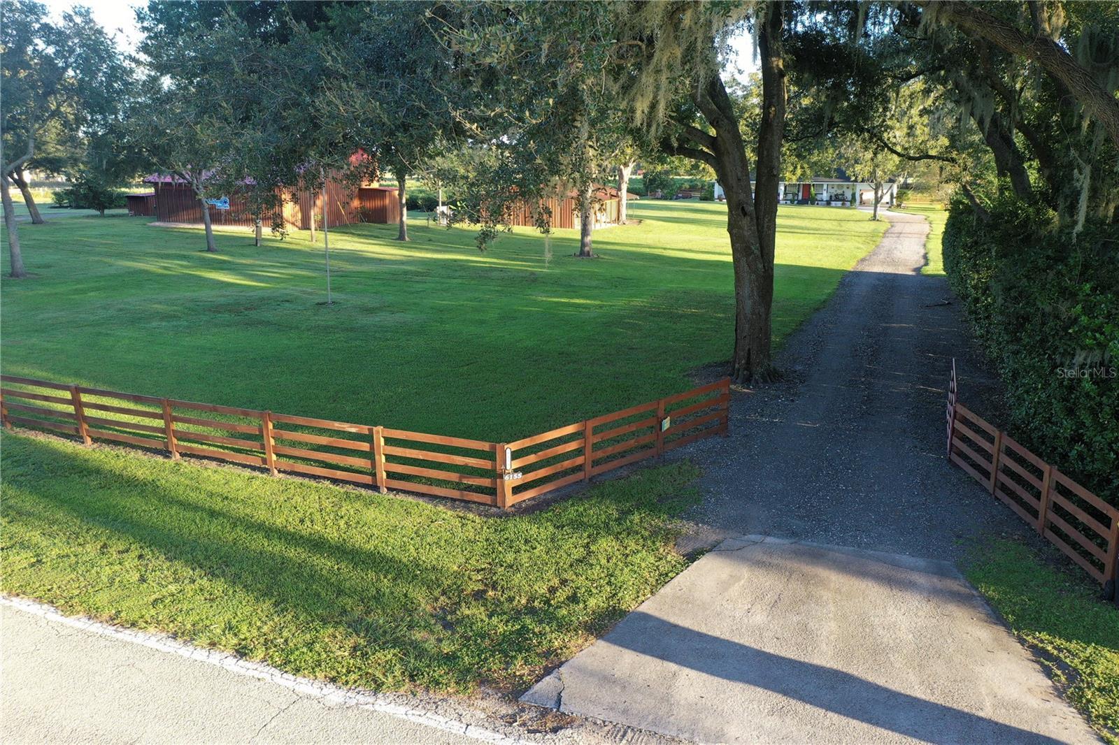 Photo #43