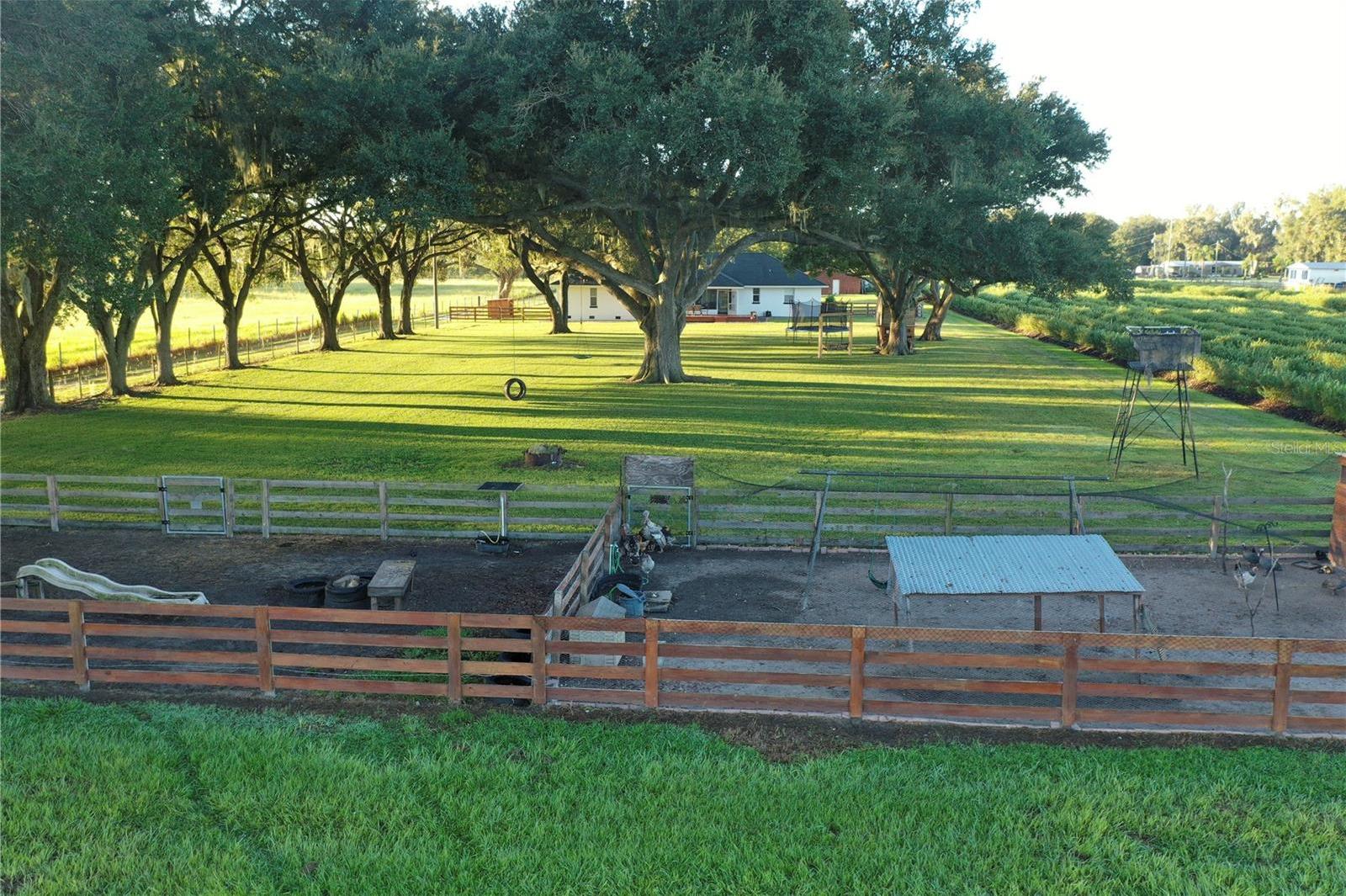 Photo #39