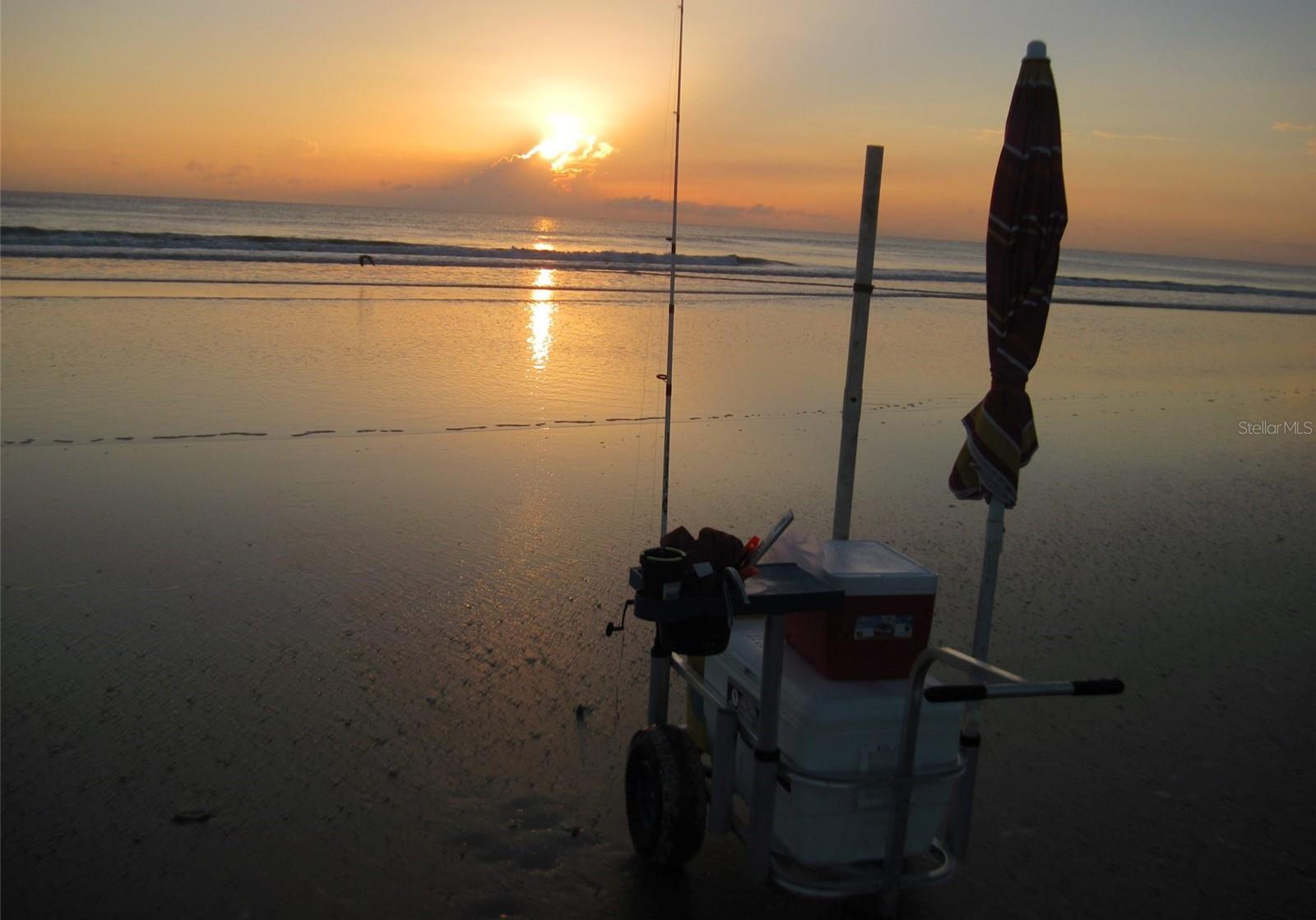 Photo #41