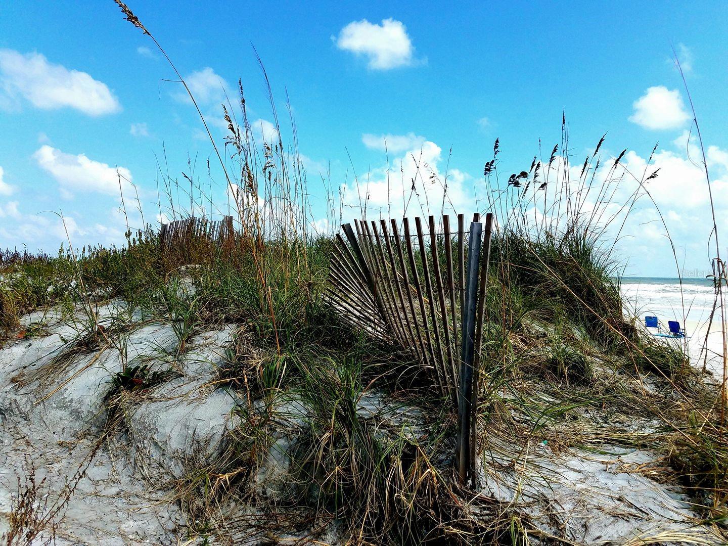 Photo #42